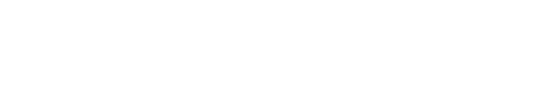 ETravelSim